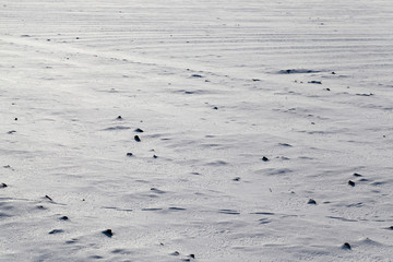 snow-covered field