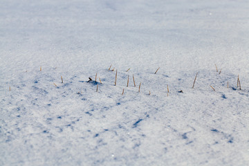 snow-covered field