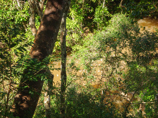 River in Bonito, Mato Grosso do Sul, Brazil  