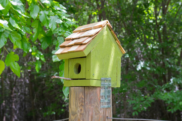 Bird House