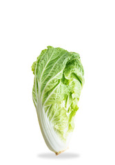 Isolate 'Chinese cabbage on a white background.