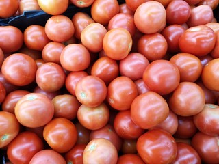 tomatoes at the market
