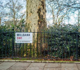 Millbank london and an old tree on the sides