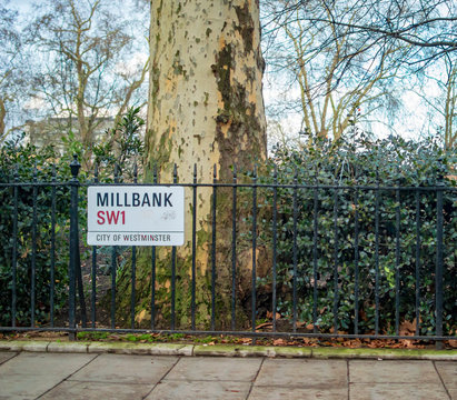 Millbank london and an old tree on the sides