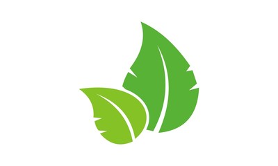 green leaves logo