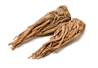 Angelica root used in chinese traditional herbal medicine, over white background. Radix angelicae sinensis