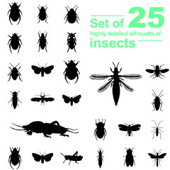 Set of insect silhouettes isolated on white background