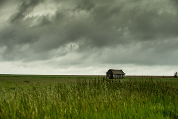 Fototapeta premium Barn in Field