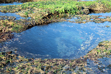Rock Pool on Bongon Beach Australia