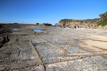 Frazer Beach Australia Rock Platform Joint Sets 