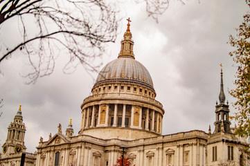 Fototapeta na wymiar London saint paul cathedral and the branches of tree
