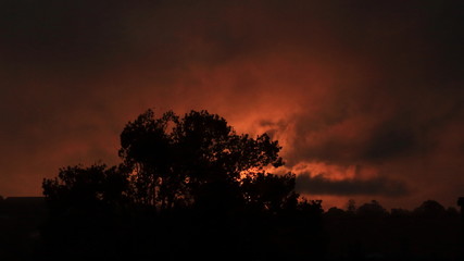 Fototapeta na wymiar Silhouette of tree with Red sunset