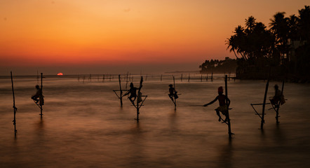 Stilt Fishermen in Sri Lanka Working For Dinner at Sunset
