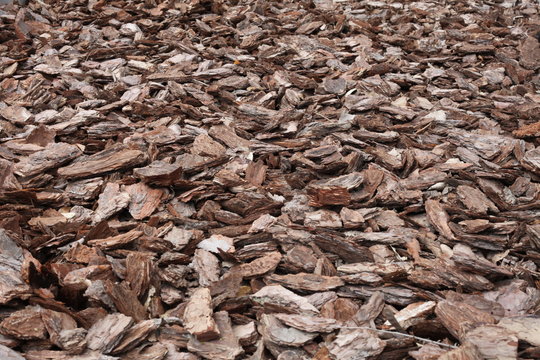Shredded pine bark for mulching.