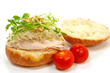 Turkey sandwich