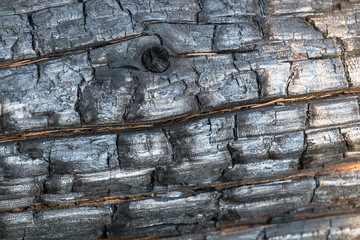 Black,charred wood surface.Natural background and texture of burnt coniferous tree