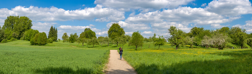 Weg ins Glück