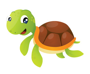 tortoise clipart