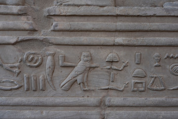 Stone Hieroglyphic Carvings at Kom Ombo Temple near Luxor