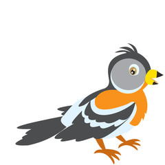 Gray bird clipart
