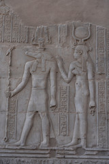 Stone Hieroglyphic Carvings at Kom Ombo Temple near Luxor