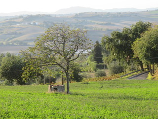 Obraz premium Paeaggio naturale