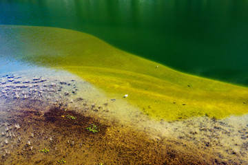 laghetto con cigno e pesci - vista aerea