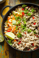 Chicken & pork larb with carrot, scallions and coriander 