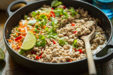 Chicken & pork larb with carrot, scallions and coriander 