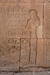 Stone Hieroglyphic Carvings at Kom Ombo Temple near Luxor