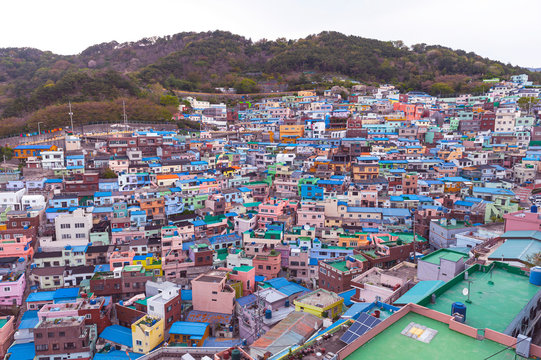 Scenic landscape of Gamcheon Culture Village, colorful and artistic tourist attraction with brightly painted houses on hillside of coastal mountain in Saha District, Busan, South Korea