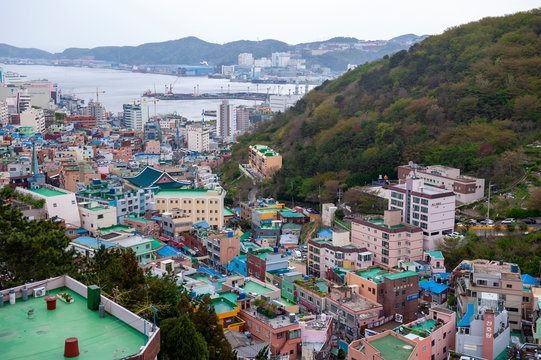 Scenic landscape of Gamcheon Culture Village, colorful and artistic tourist attraction with brightly painted houses on hillside of coastal mountain in Saha District, Busan, South Korea