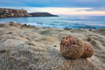 Close-up of champagne cork on a sandy beach with the sea in the background