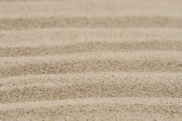 Fototapeta na wymiar lines on natural sand texture background
