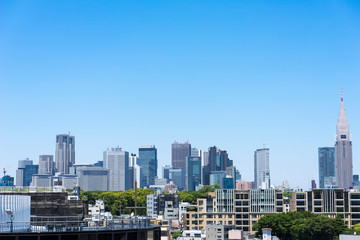 Fototapeta na wymiar 東京の風景　表参道から望む新宿高層ビル群の景観