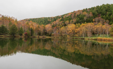 Kido-ike pond , reflection pond in autumn season at Nagano, Japan.