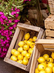 background lemon fruit in wooden boxes and flowers