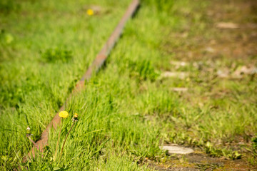 Part of the old railway tracks overgrown with grass