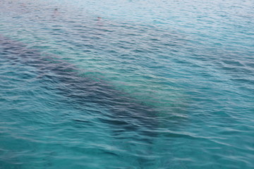 blue water background