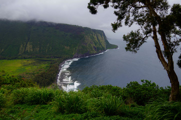 Black Sand Beach from Waipio Valley Lookout
