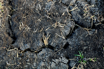 soil texture close up
