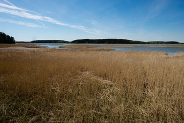 Fototapeta premium landscape with lake and sky