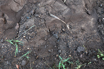 soil texture close up