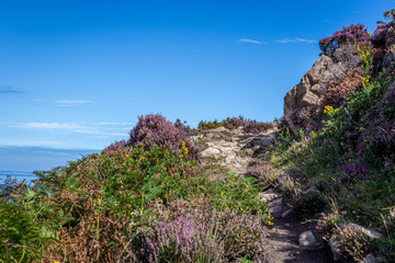 Höhenweg an der Küste in Jersey UK