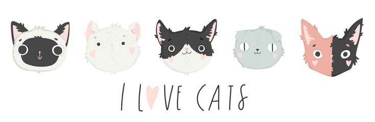 I love cats Hand drawn background with cats and lettering. Isolated vector illustration 