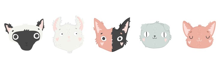 Collection of cats illustrations, icons, avatars