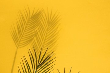 Fototapeta na wymiar Tropical palm tree leaf shadow on a yellow background. Summertime layout