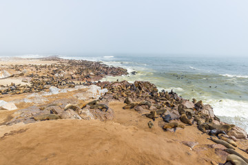 The seal colony at Cape Cross, on the atlantic coast of Namibia, Africa. View on the shoreline and the rough waving ocean.