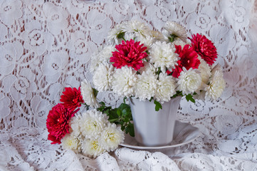 Still life of white and red flowers of chrysanthemums on a white network background