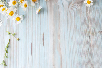 Obraz premium Bouquet of freshly picked camomile flowers on wooden background